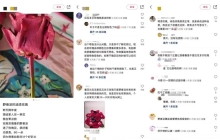 野兽派里的“毒玫瑰”