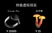 与苹果Vision Pro同台竞技，这家AR厂商凭什么？