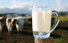 乳企年报盘点：蒙牛营收近千亿，优然牧业亏逾10亿