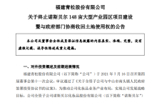 青松股份转型“满目疮痍”