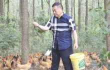 老乡鸡束从轩，对得起每一只鸡