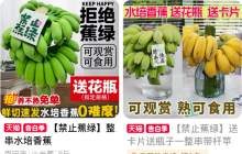 一串普通香蕉，为何爆红网络？
