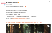 泡泡玛特进军「积木市场」，积木如何成为年轻人的“塑料布洛