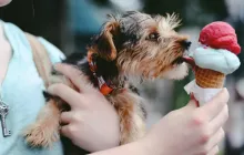 中国产业案例出海记｜破冰北美，国产商用餐厨设备的突围战