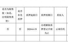 3.98亿股权被质押：用友渴望打赢AI“翻身仗”