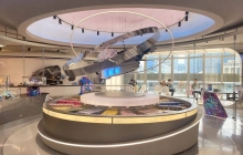 中年好利来，在争议声中翻红