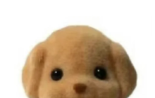 沉迷毛茸茸，是新一代年轻人的“口红经济”