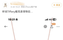 “克走领导”的Tiffany项链火了！耐克蚌埠住了