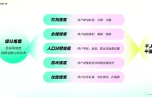 细分市场的定制艺术：视觉运营的策略与实践